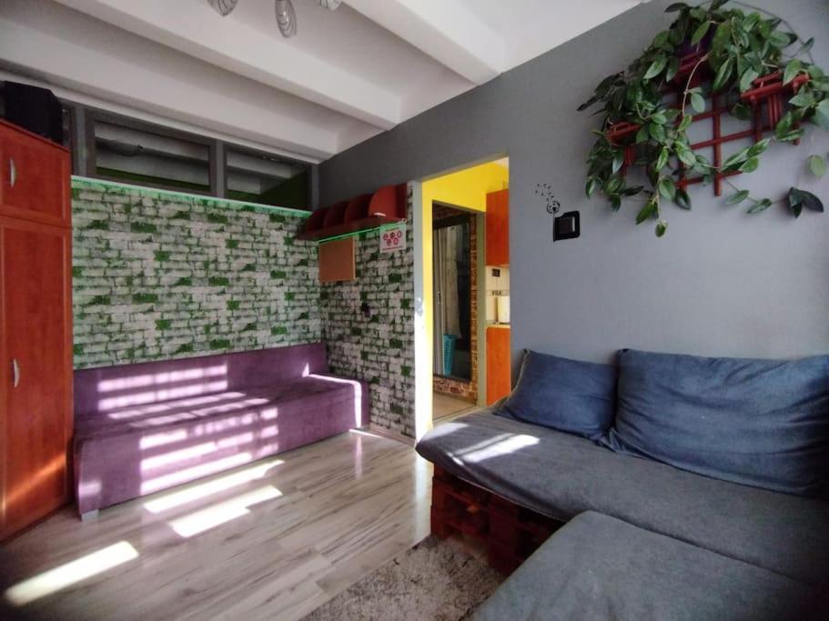 Apartament Nadmorski W Gdansku 外观 照片